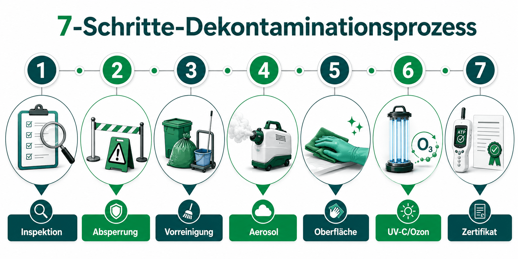Visuelle Darstellung des Hantavirus-Dekontaminationsprozesses